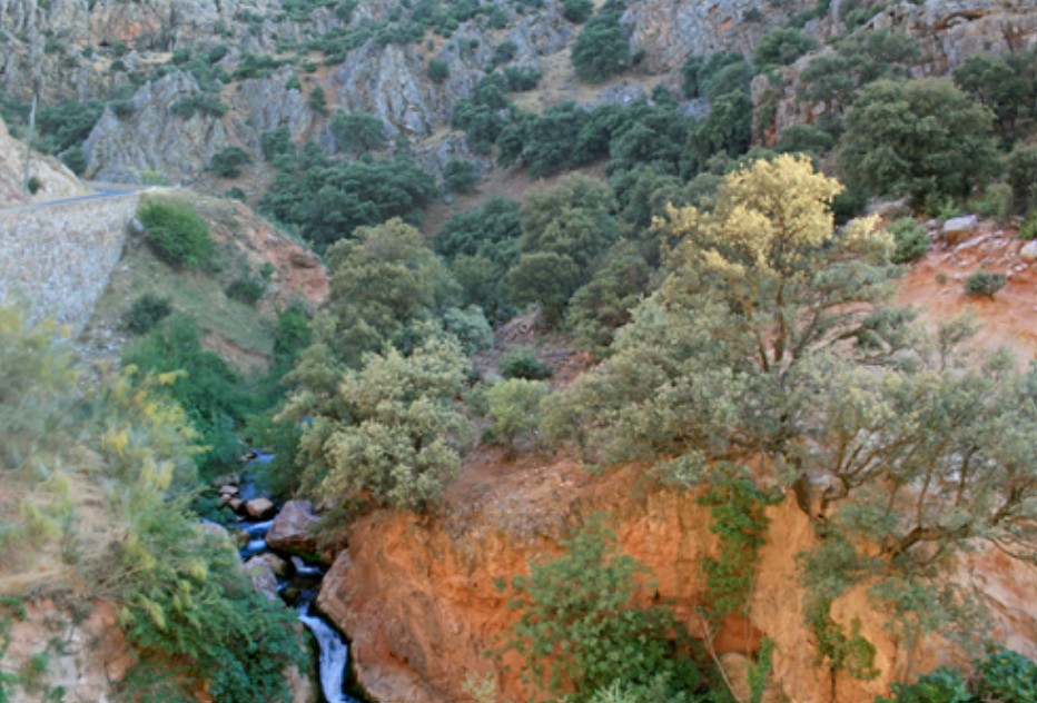 Vista de las calles y río de Salobre